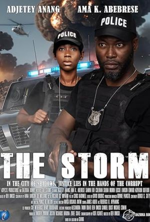The Storm poster