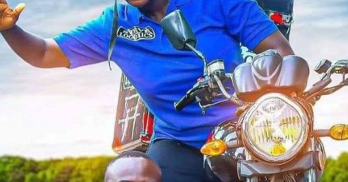 Sabina & Koko hero image