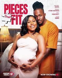 Pieces That Fit poster