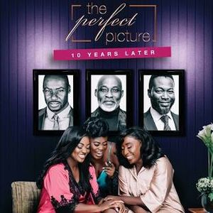 The Perfect Picture: 10 Years Later poster