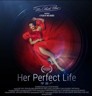 Her Perfect Life poster