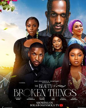 The Beauty Of Broken Things poster
