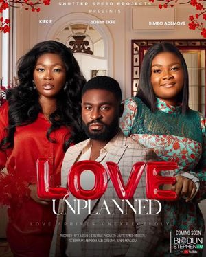 Love Unplanned poster