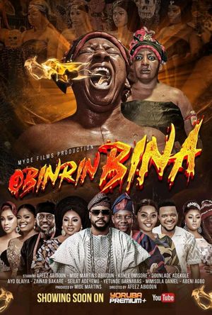 Obinrin Bina poster