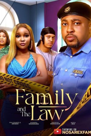 Family And The Law poster