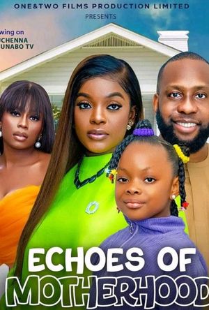 Echoes of Motherhood poster