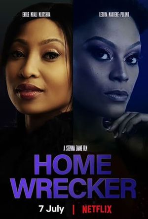 Home Wrecker poster