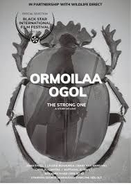 Ormoilaa Ogol hero image