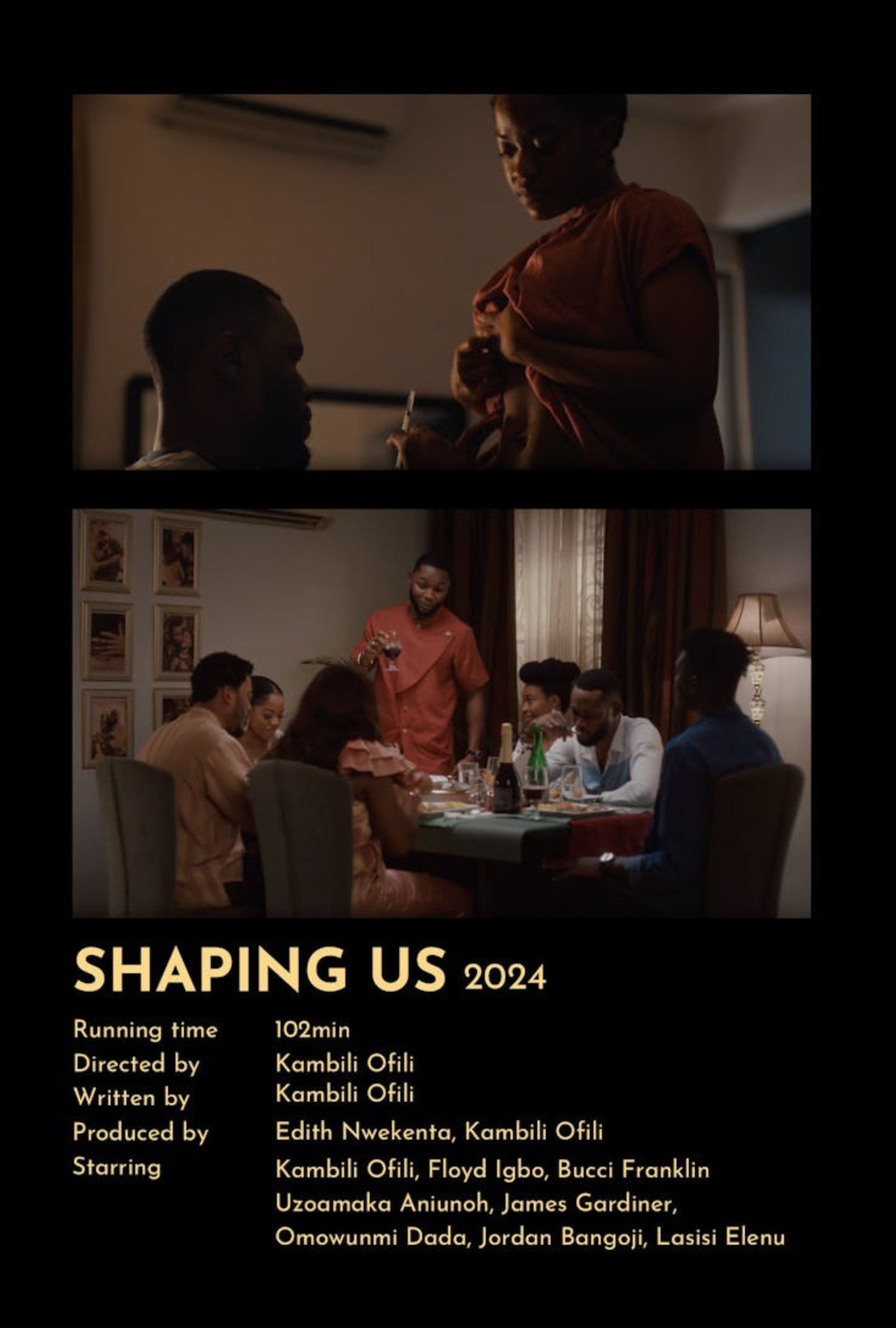 Shaping Us poster