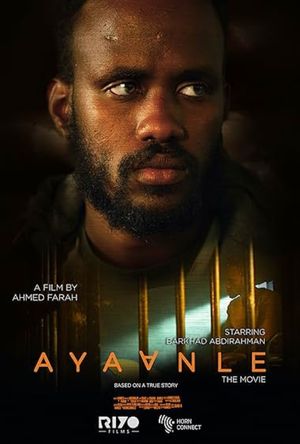Ayaanle poster