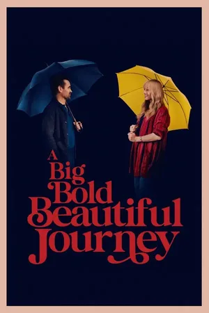 A Big Bold Beautiful Journey poster