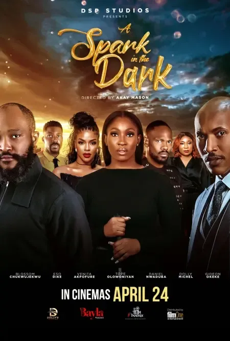 A Spark in the Dark poster