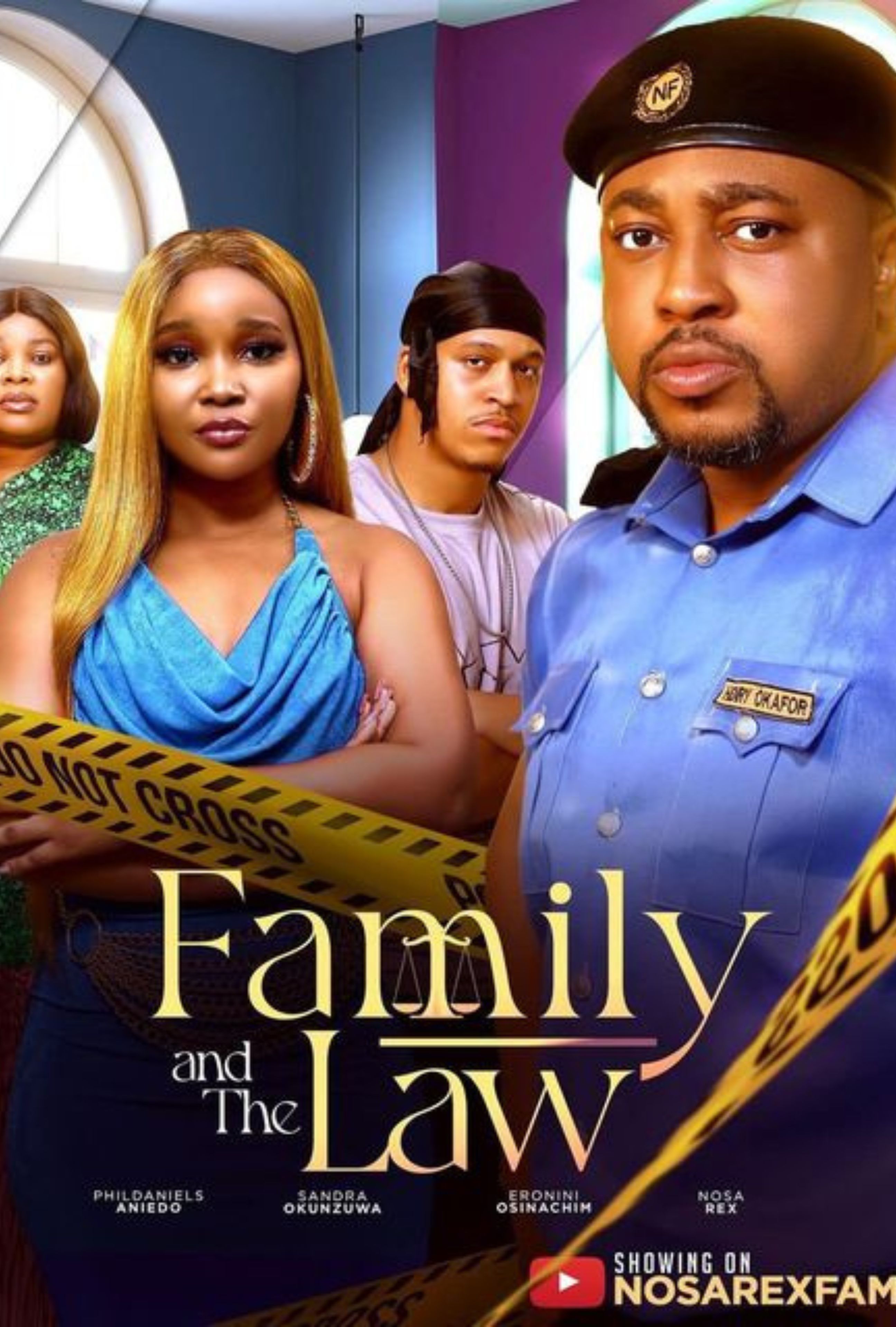 Family And The Law poster