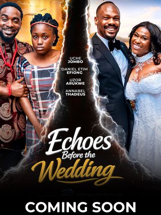 Echoes Before the Wedding poster