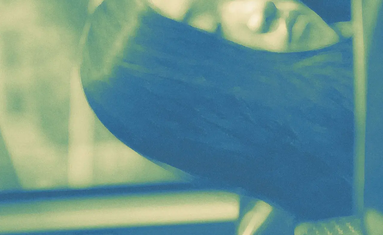 Welcome Home Freckles hero image