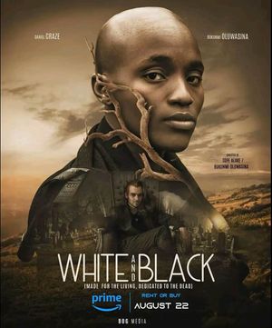White and Black poster