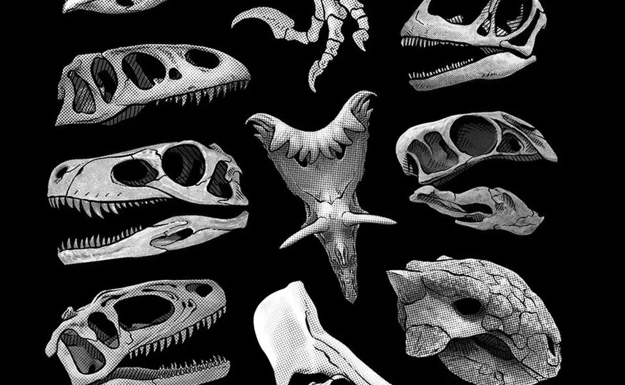 Flowervale Street hero image