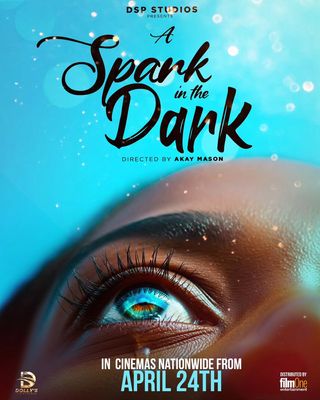 A Spark in the Dark poster